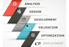 Development Life Cycle